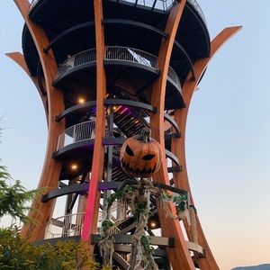 Meet your Posher, Tara